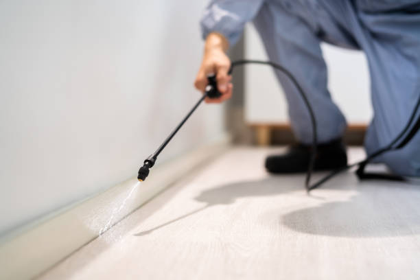 Licensed Fumigation Services service in Ashburn, GA - Nex Pest Control