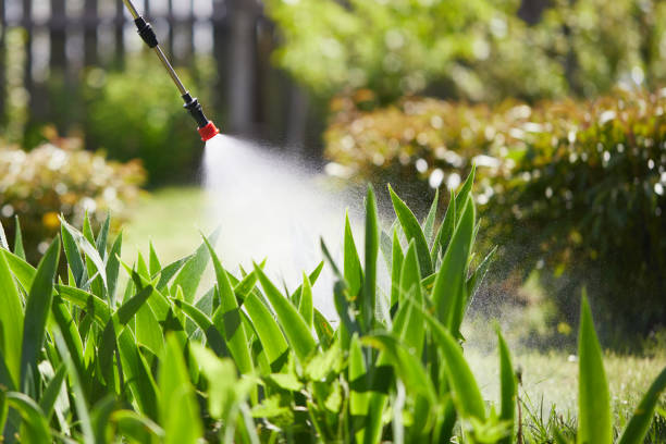 24/7 Emergency Fumigation Services experts in Ashburn, GA